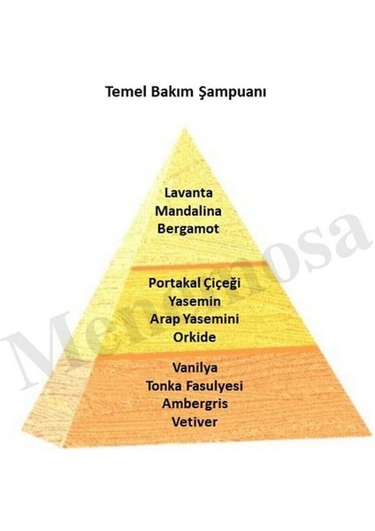Temel Bakım Şampuan fiyatları