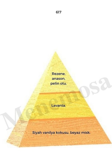 617 Erkek Parfüm EDP 50 ml Oriental - MNMS50617 fiyatları