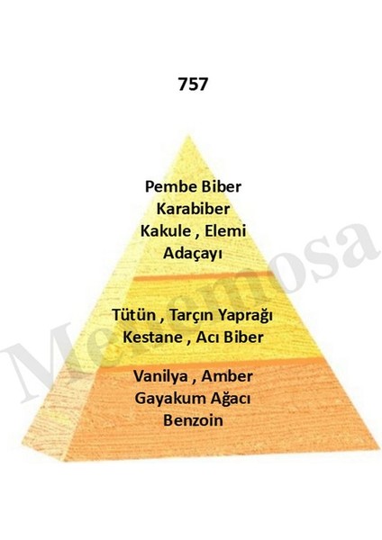 757 Erkek Parfüm EDP 50 ml Oriental - MNMS50757 fiyatları