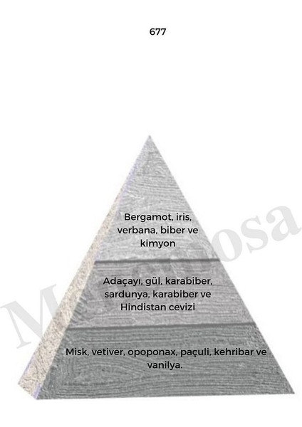 677 Erkek Parfüm EDP 50 ml Woody - MNMS50677 fiyatları