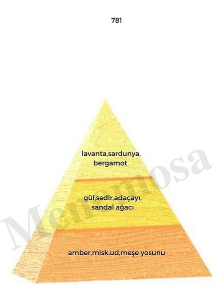 781 Erkek Parfüm EDP 50 ml Oriental - MNMS50781 fiyatları