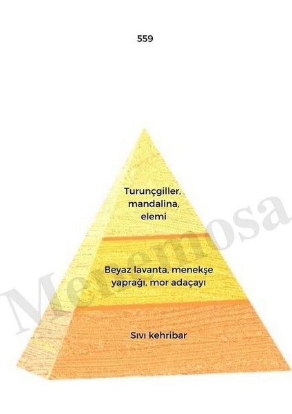 559 Erkek Parfüm EDP 50 ml Oriental - MNMS50559 fiyatları