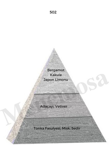 502 Erkek Parfüm EDP 50 ml Woody - MNMS50502 fiyatları