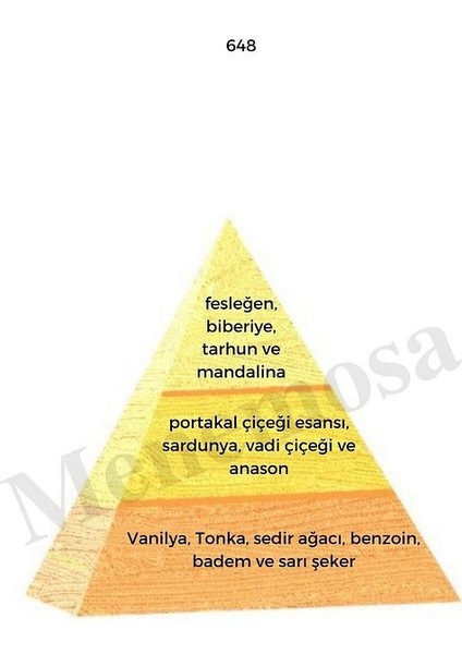 648 Erkek Parfüm EDP 50 ml Oriental fiyatları