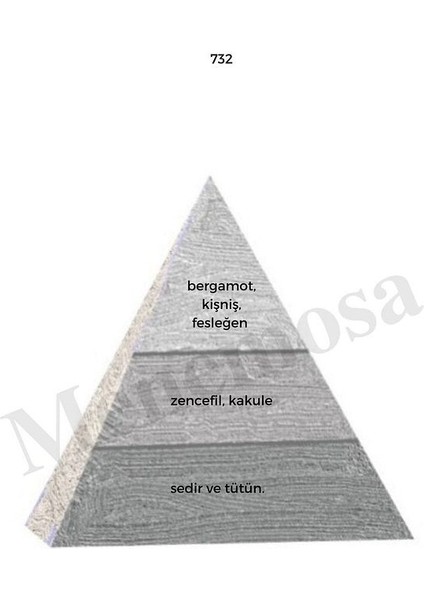 732 Erkek Parfüm EDP 50 ml Woody - MNMS50732 fiyatları