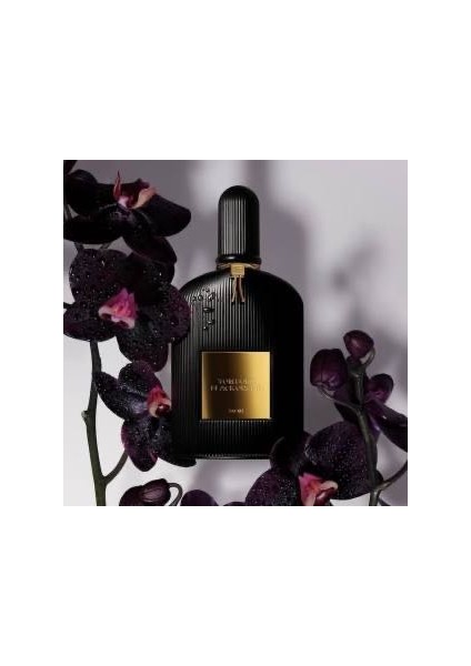 Tom Ford Black Orchıd 100ML Edp
