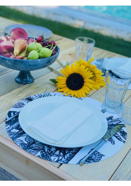 Amerikan Servisi- Safari modelleri