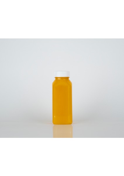 250 ML MEYVE SUYU PET ŞİŞESİ 3 ADET fırsatları