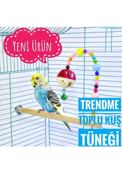 Zilli Boncuklu Toplu Kuş Tüneği Oyuncak Muhabbet, Sevda, Cennet, Finch V.b.