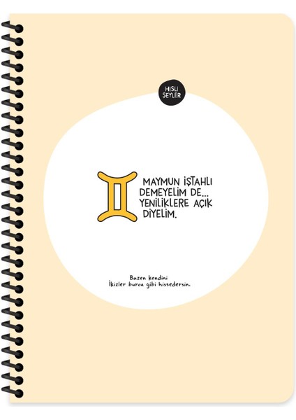 Burçlar Serisi 16,5X22,5 Kareli Spiralli Stickerli Defter - Maymun Iştahlı Demeyelim De Yeniliklere Açık Diyelim