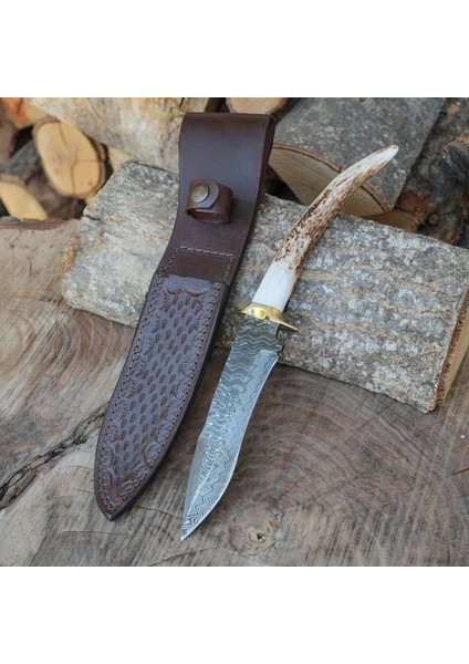 Av Bıçağı 32 cm - Uç Geyik Boynuzu Sap - Damascus Çeliği