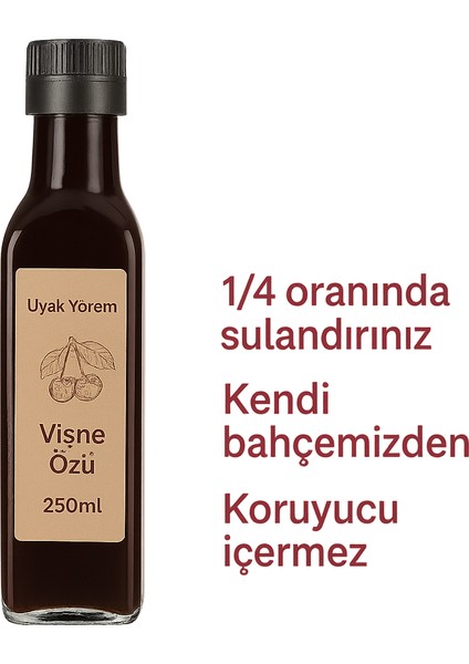 Vişne Konsantresi 250ML fiyatları