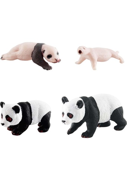 Simülasyon Döngüsü Panda Panda Döngüsü B'nin 4 Aşaması (Yurt Dışından)
