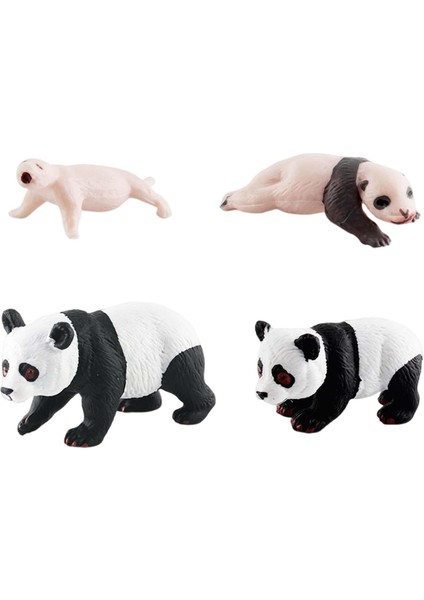 Simülasyon Döngüsü Panda Panda Döngüsü B'nin 4 Aşaması (Yurt Dışından) fiyatları