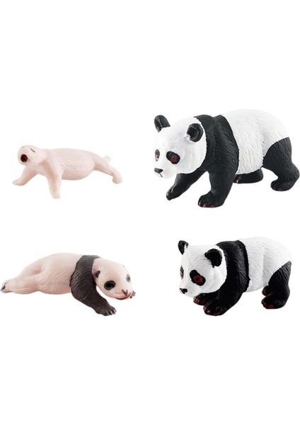Simülasyon Döngüsü Panda Panda Döngüsü B'nin 4 Aşaması (Yurt Dışından) fırsatları