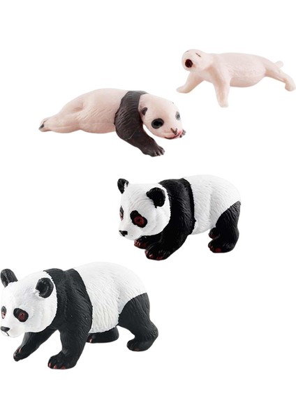 Simülasyon Döngüsü Panda Panda Döngüsü B'nin 4 Aşaması (Yurt Dışından) indirimleri