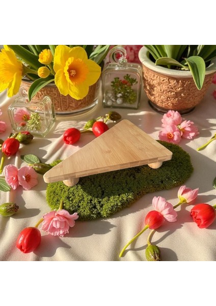 Üçgen Bambu Sunumluk modelleri