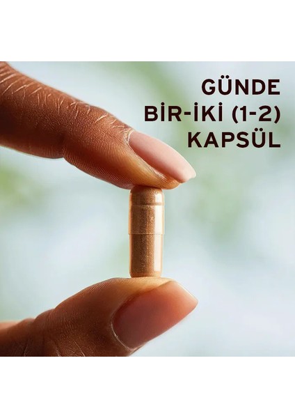 Green Tea Leaf Extract 60 Kapsül fırsatları