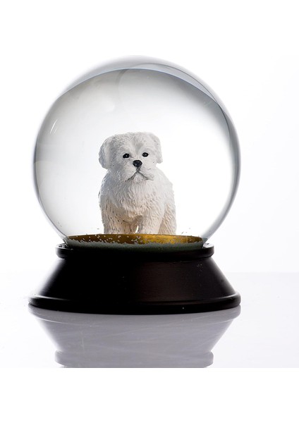 Cam ve Reçine Altın Patiler Köpek Maltese Terrier Kar Küresi Hediye