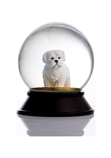 Cam ve Reçine Altın Patiler Köpek Maltese Terrier Kar Küresi Hediye fiyatları