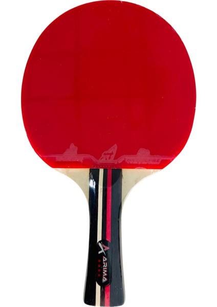 Ittf Onaylı Masa Tenisi Raketi 4* Çift Taraflı AR1012 fiyatları