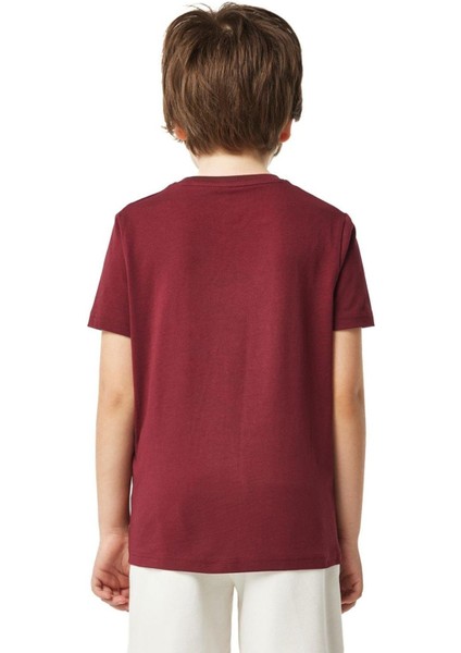 Galatasaray Çocuk T-Shirt - C251047 modelleri