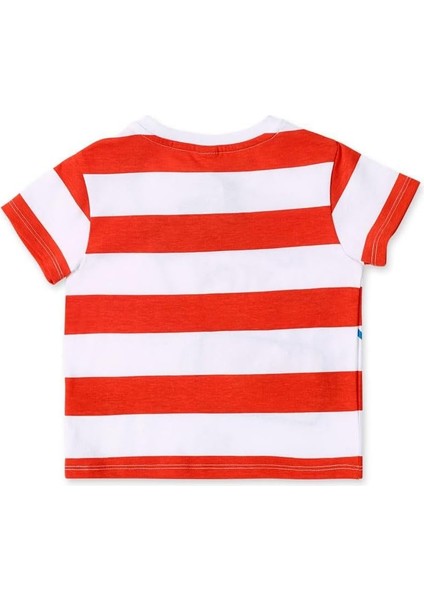 Kız Çocuk T-Shirt fiyatları