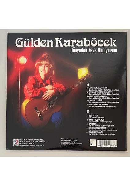 Gülden Karaböcek Dünyadan Zevk Almıyorum Lp Plak fiyatları