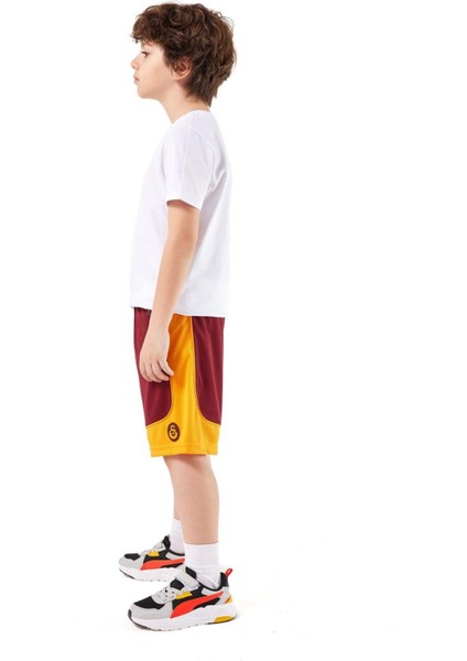 Galatasaray Erkek Şort - E251054 fiyatları