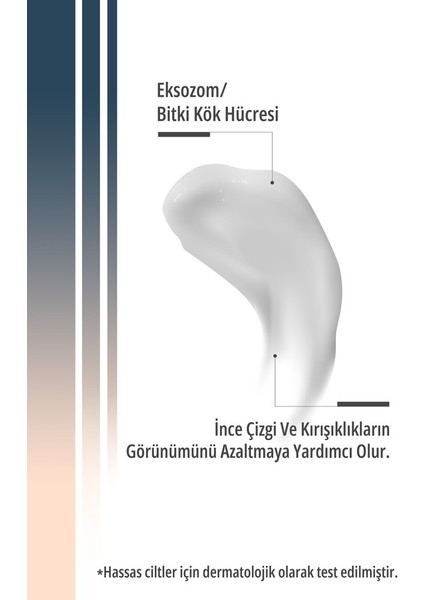 Stemagé Exosome Kök Hücre / Onarıcı-Nemlendirici Gece Eksozom Kremi 50 ml modelleri