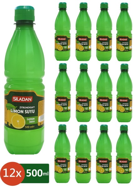 Limon Suyu 500 ml Pet x 12 Adet