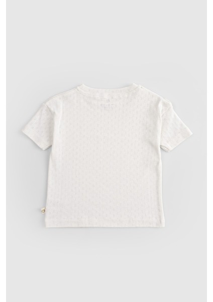 Organik Pamuk Pointel Bebek Ekru Şort Takımı indirimleri