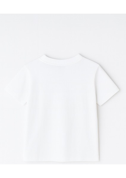 Labubu Karakter Baskılı Çocuk Tişörtü Pamuklu, Renkli Seçenekli Erkek Yazlık Kısa Kollu T-Shirt fiyatları