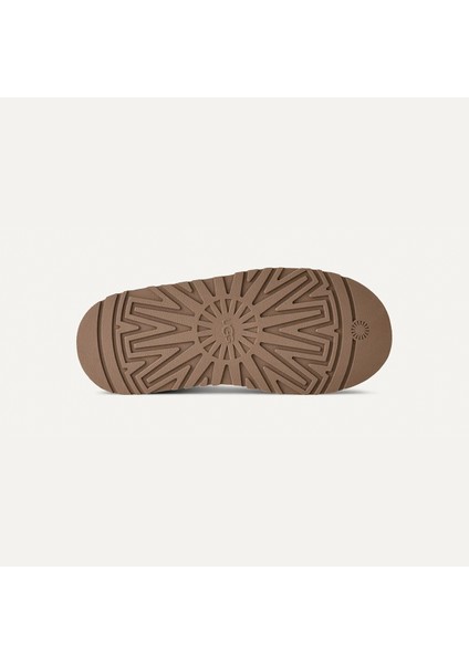 Kadın Terlik 1174471 Ugg W Tazz Iı Chestnut (Taba)