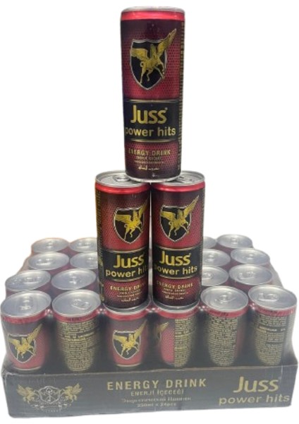 Juss Power Hits 24 Lü Enerji Içeceği 250ML