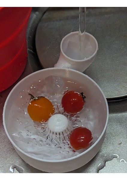 Otomatik Meyve Sebze Yıkayıcı