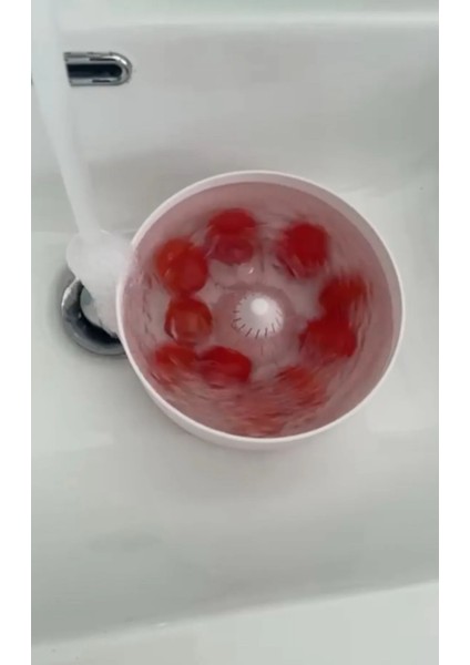Otomatik Meyve Sebze Yıkayıcı