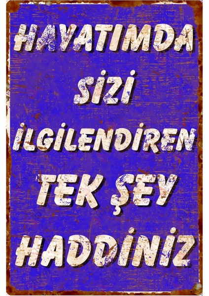 'hayatımda Sizi Ilgilendiren Tek Şey Haddiniz' Yazılı Espirili Alüminyum Tabela – Retro Tarz Levha