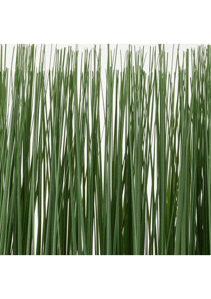 Fejka Saksılı Yapay Bitki Yeşil Çim 9 cm Bakımsız Şık Dekorasyon Ev Ofis Iç Mekan Canlı Görünümlü Süs Bitkisi modelleri