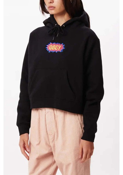 Kadın Nakış Detaylı Cropped Kapüşonlu Sweatshirt – Pamuk Karışımlı Şık Tasarım modelleri