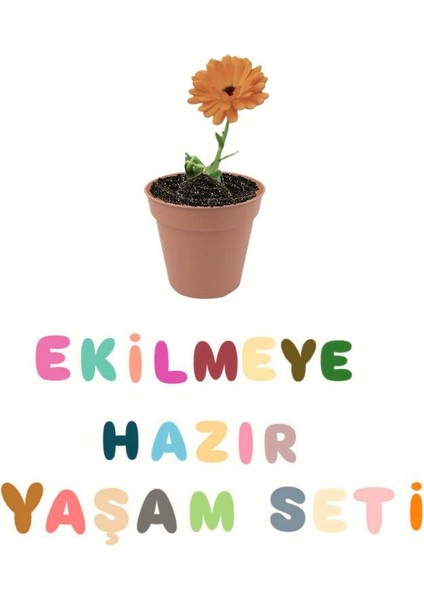 Ekilmeye Hazır Yaşam Seti