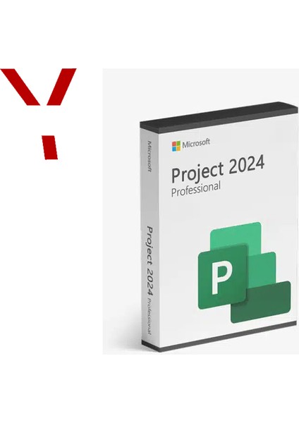 Project Professional