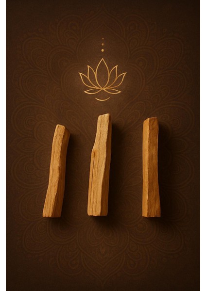 Orijinal Peru Palo Santo Tütsü 3'lü Set Negatif Enerji Temizleyici Spiritüel Arınma & Meditasyon modelleri