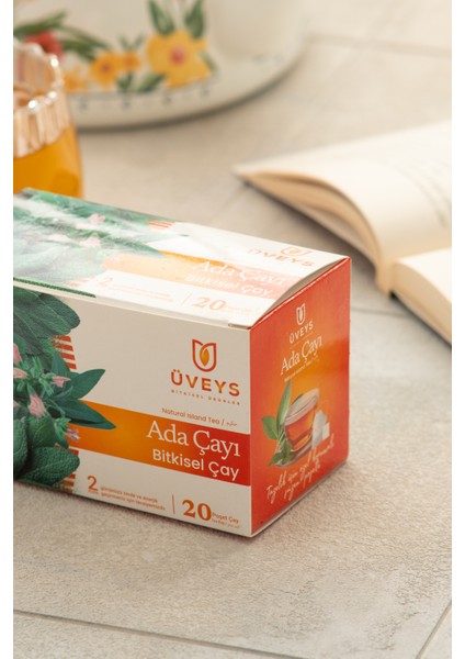 Adaçayı modelleri