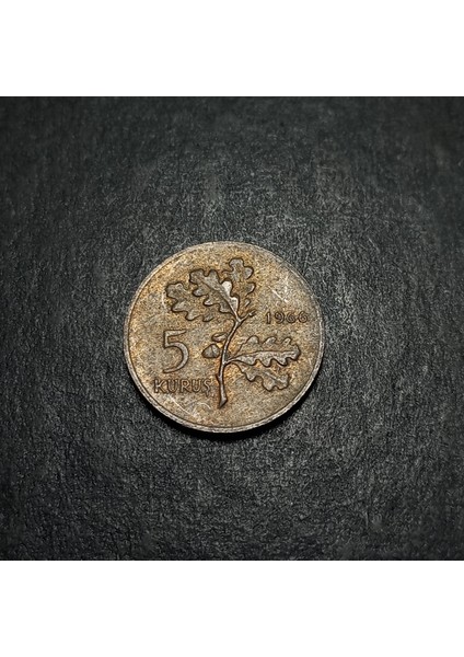399636873427D84122 5 Kuruş 1966 Eski Madeni Para fırsatları