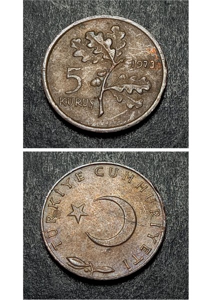 39963687341F9AC498 5 Kuruş 1973 Eski Madeni Para