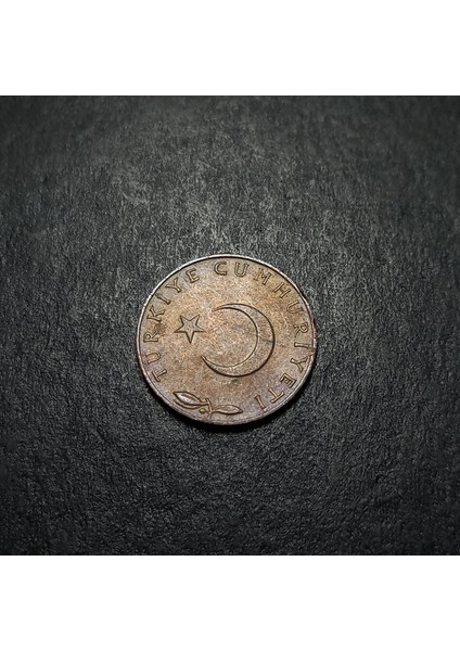 39963687341F9AC498 5 Kuruş 1973 Eski Madeni Para modelleri