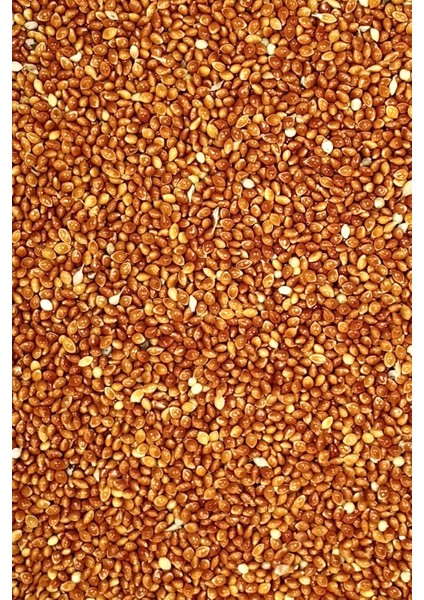 Kırmızı Darı Sade Tozsuz Doğal Taze Kuş Yemi - 5 kg modelleri