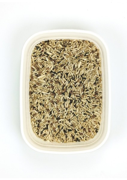 Kanarya Karışık Kuş Yemi Doğal Taze - 1 kg fiyatları