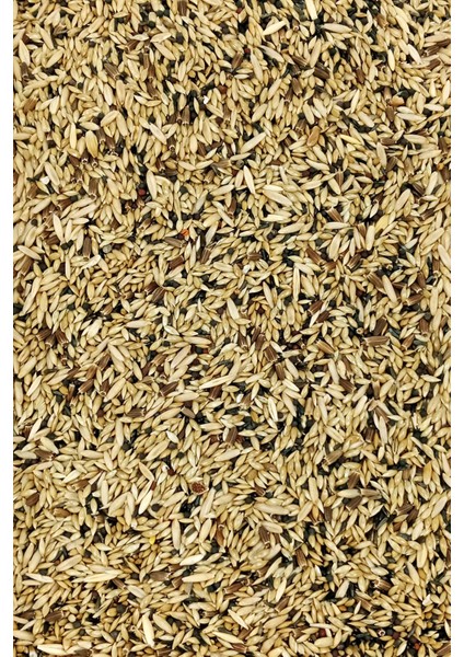 Kanarya Karışık Kuş Yemi Doğal Taze - 1 kg modelleri